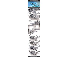 Academy 1/48 P-38 COMBINATION VERSION