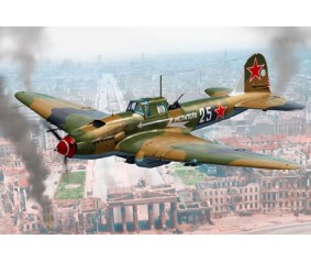 Academy 1/48 IL-2m3 