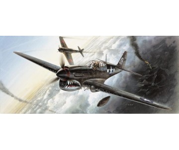 Academy 1/72 P-40M/N