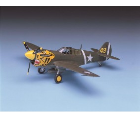 Academy 1/72 P-40E