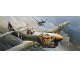 Academy 1/72 P-40E