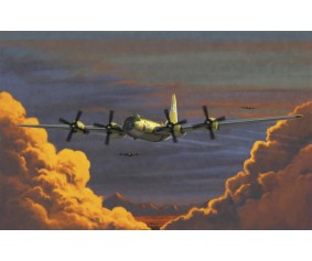 Academy 1/72 USAAF B-29A 