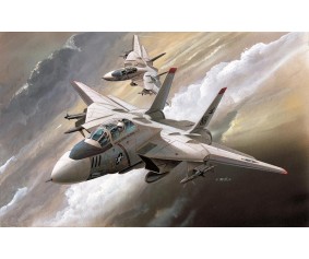 Academy 1/144 F-14A 