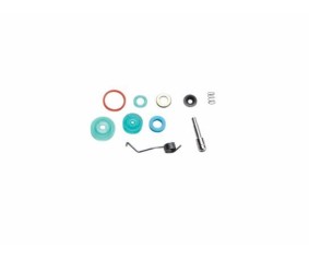 ASG Parts kit, CZ and STI DUTY series