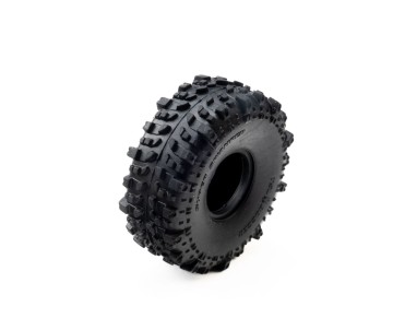 Axial 0.8