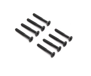 Axial M4 x 30mm, Flat Head Screw (8)