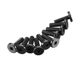 Axial Hex Socket Oversize Head 3x10mm (10)