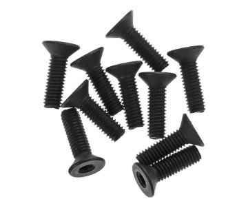 Axial Hex Socket Flat Head 3x10mm (10)