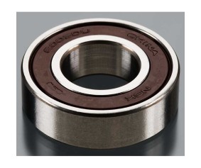DLE Engines Bearing Rear 6003 DLE-55