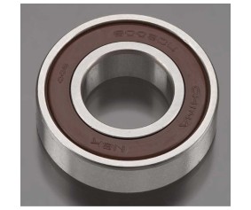 DLE Engines Bearing Rear 6003 DLE 55-RA