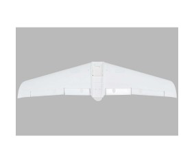 E-Flite Painted Wing: V1200