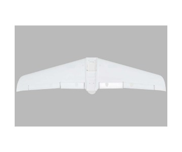 E-Flite Painted Wing: V1200