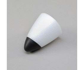 E-Flite Nose: F-27 Evolution