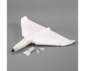 E-Flite Replacement Airframe: Delta Ray One