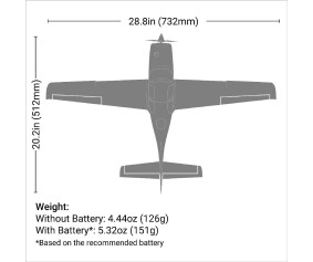 E-Flite UMX Cirrus SR22T BNF Basic Ultimate Combo (Battery and Charger Included)