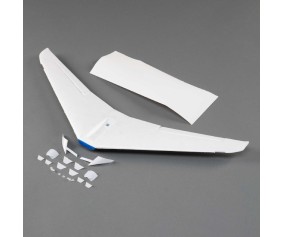 E-Flite Painted Wing: Longitude