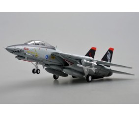 Easy Model 1/72 F-14D VF-101