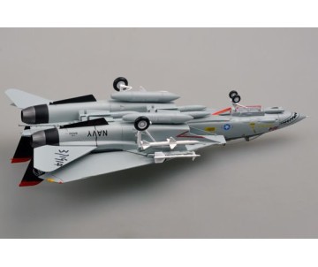 Easy Model 1/72 F-14D VF-101
