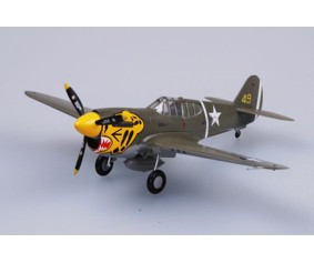 Easy Model 1/72 P40E 11FS 343FG 1942