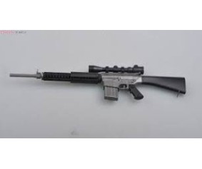 Easy Model 1/3 SR25