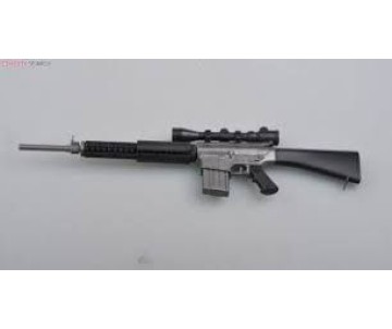 Easy Model 1/3 SR25
