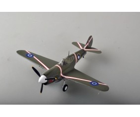 Easy Model 1/48 P-40M