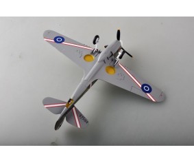 Easy Model 1/48 P-40M