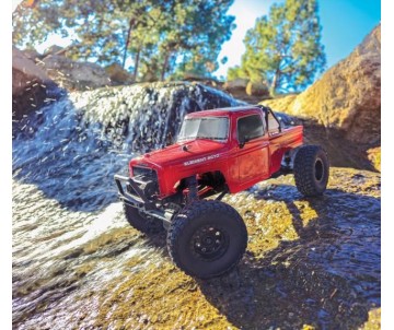 Element RC Enduro12 Trail Truck, Ecto RTR