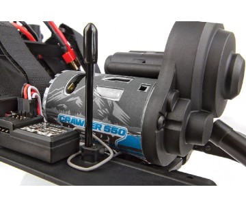 Element RC Enduro Trail Truck Ecto Black RTR