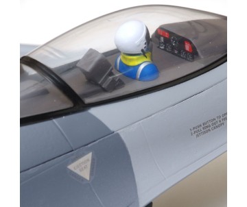 FMS F-16C Fighting Falcon EDF PNP