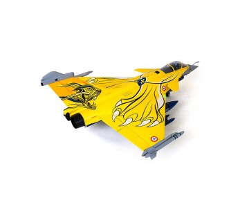 FMS Rafale 80mm EDF PNP