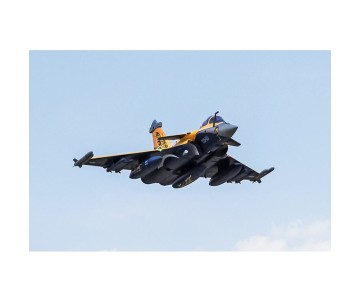 FMS Rafale 80mm EDF PNP