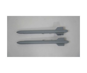 FMS Wingtip Missle: Rafale 80mm