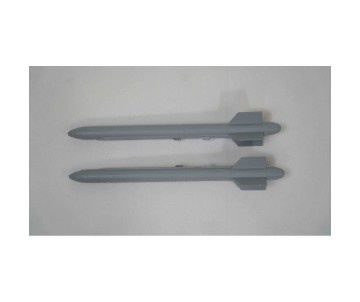FMS Wingtip Missle: Rafale 80mm