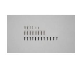 FMS Screw Set: Rafale 80mm