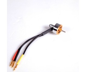 FMS Motor: 1811 KV3900