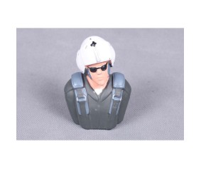 FMS Pilot: 1.4M T-28