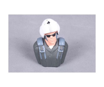 FMS Pilot: 1.4M T-28