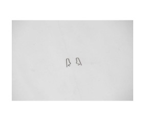 FMS R Clasp: Ranger 1800mm
