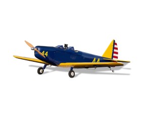 Hanger 9 Fun Scale PT-19 PNP