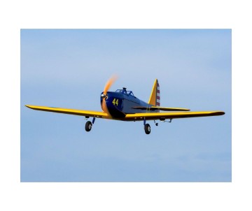 Hanger 9 Fun Scale PT-19 PNP