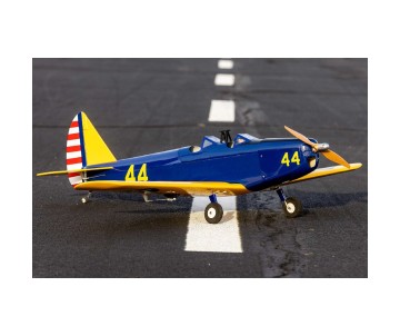 Hanger 9 Fun Scale PT-19 PNP
