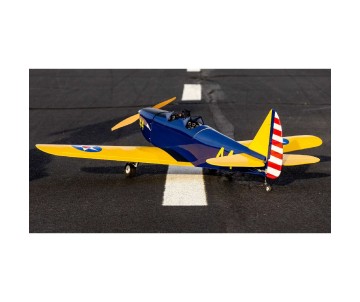 Hanger 9 Fun Scale PT-19 PNP