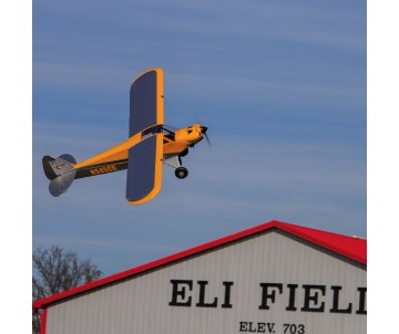 Hanger 9 Carbon Cub 15cc ARF