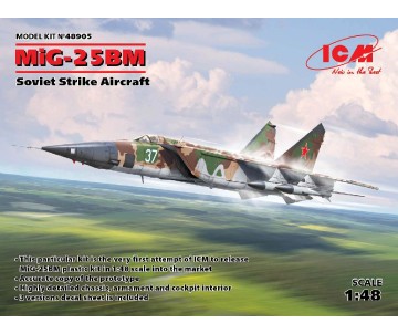 ICM 1/48 MiG-25 BM, Soviet Strike Aircraft
