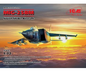 ICM 1/72 MiG-25 BM, Soviet Strike Aircraft