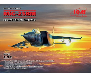 ICM 1/72 MiG-25 BM, Soviet Strike Aircraft