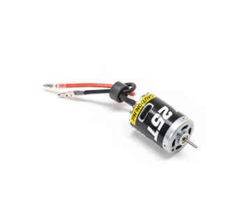 Losi 25T Brushed 380 Size Motor