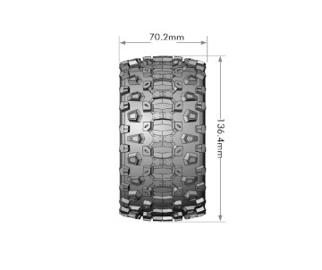 Louise R/C MT-Uphill 1/10 Monster Truck (Soft Compound) 1/2