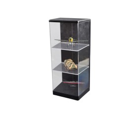 Master Tools Plastic Transparent Case 165x120x360mm